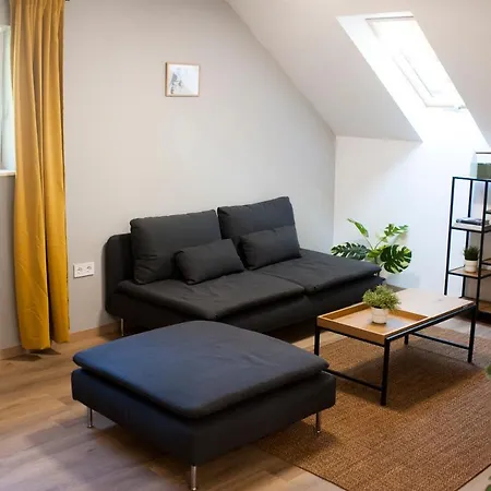 Gumikacsa Vendeghaz Apartment